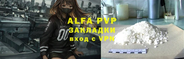 шишки Горно-Алтайск