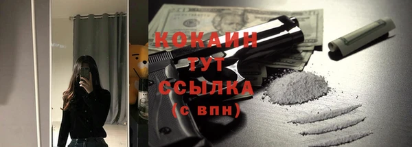 apvp Горняк