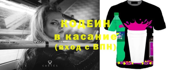 шишки Горно-Алтайск