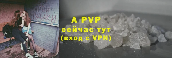 шишки Горно-Алтайск