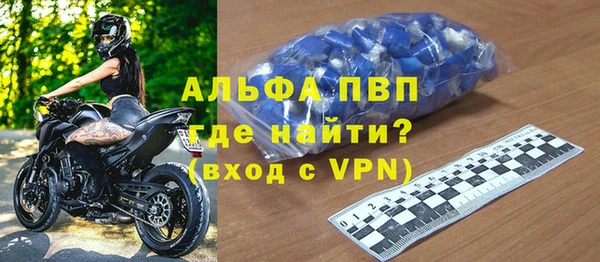 шишки Горно-Алтайск