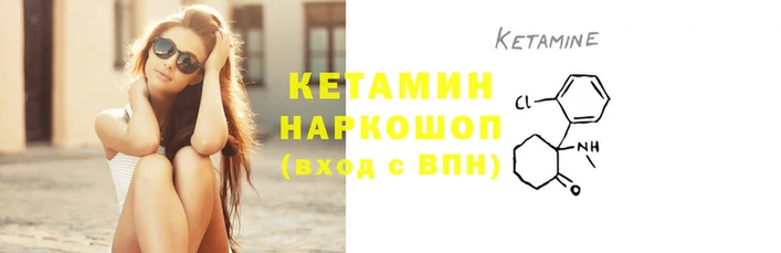 шишки Горно-Алтайск
