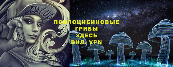 шишки Горно-Алтайск