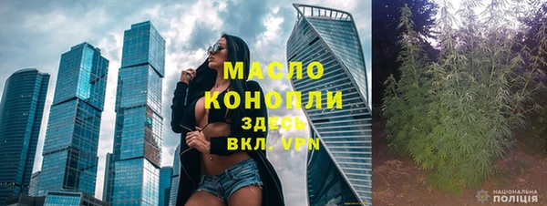 шишки Горно-Алтайск