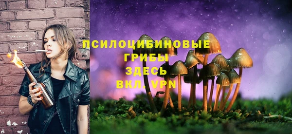 шишки Горно-Алтайск