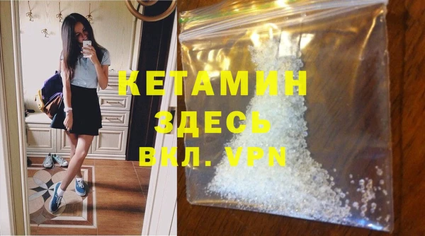 шишки Горно-Алтайск