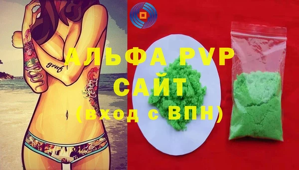 шишки Горно-Алтайск