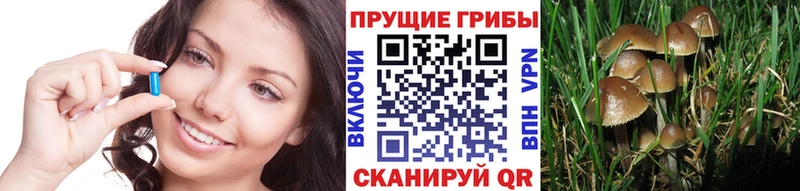 Псилоцибиновые грибы прущие грибы  закладка  гидра ССЫЛКА  Емва 